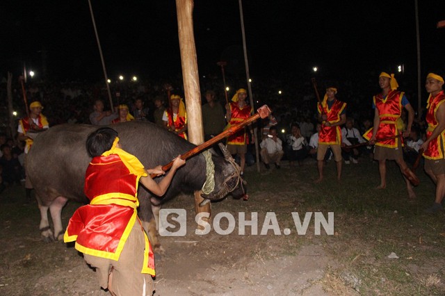 Lễ cầu Trâu bắt đầu, 12 thanh niên thực hiện lễ cầu. Họ dùng vồ đập đất thay phiên nhau nện vào đầu trâu cho đến khi trâu lễ gục xuống đất mới thôi.