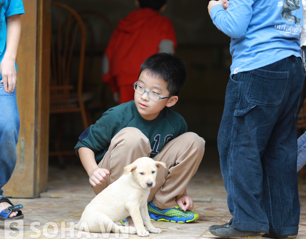 
Các em nhỏ hi vọng những chú cún con, gà con, thỏ con sẽ mang tới niềm vui cho cuộc sống vốn trầm buồn nơi trại trẻ mồ côi ở Hà Nam.
