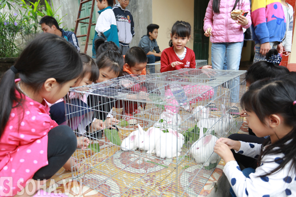 20 chú thỏ - món quà lạ mà đoàn trao tặng khiến các em nhỏ vô cùng phấn khởi, háo hức.