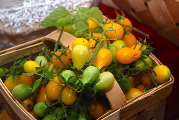 
Cà chua được mệnh danh là một nhà máy dinh dưỡng vì nó cung cấp rất nhiều thành phần có lợi cho sức khỏe. Tại Việt Nam, cà chua lê thường được trồng vào thời điểm cuối hè, đầu thu. Hạt giống cà chua lê có giá 35.000-40.000 đồng/gói. (Ảnh: Afamily)
