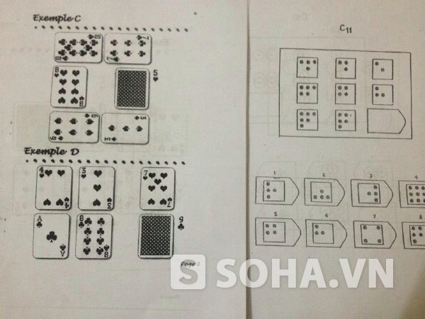 Câu hỏi IQ được sắp xếp từ dễ đến khó.