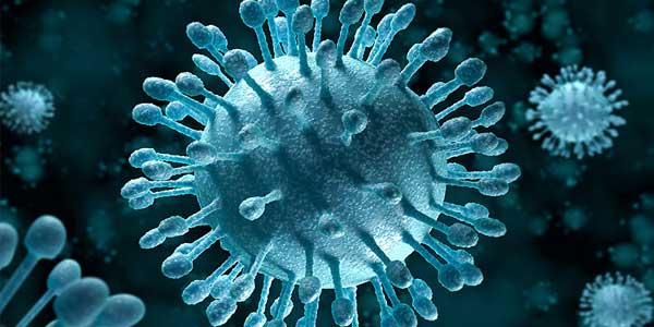 
Virut viêm gan siêu vi C.
