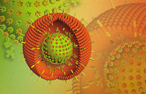 virus Epasstein-barr (EBV) gây nên