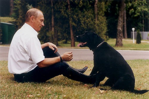 Tổng thống Putin và Koni. Ảnh: Kremlin