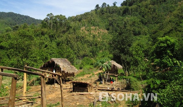 Bản Phồng (Tam Hợp, Tương Dương), nơi xảy ra vụ án mạng kinh hoàng khiến 4 người trong 1 gia đình bị giết hại dã man.