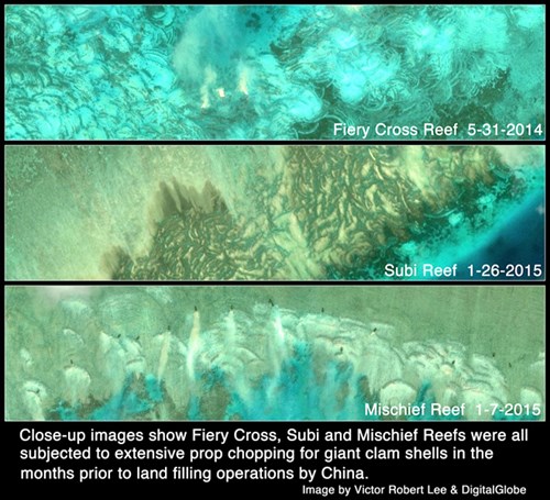 Ảnh cận cảnh cho thấy các rạn san hô ở đá Subi, Chữ Thập và Vành Khăn thuộc quần đảo Trường Sa bị chặt phá để khai thác sò khổng lồ trước khi Trung Quốc cải tạo trái phép thành đảo nhân tạo. Ảnh: Victor Robert Lee & DigitalGlobe