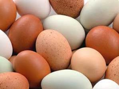 
Sự khác biệt về giá trị dinh dưỡng của 2 loại trứng là vô cùng nhỏ.

