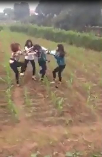 
3 cô gái lôi bạn học xuống ruộng ngô để giải quyết mâu thuẫn cá nhân. (Ảnh cắt từ clip)
