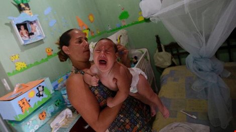 
Số trẻ sơ sinh bị mắc chứng teo não ngày càng tăng ở Brazil. Ảnh: BBC
