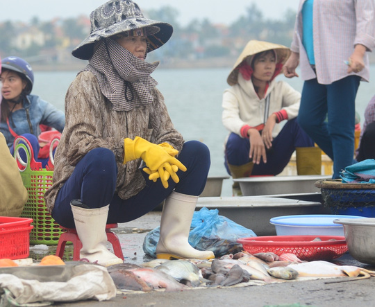 Cá biển trước đây là món ăn hàng ngày của các gia đình, nhưng bây giờ, người dân đến chợ đều tỏ ra dửng dưng khi đi qua những gian hàng này, các lái buôn chỉ biết ngao ngán lắc đầu nhìn nhau. Ảnh: Người lao động