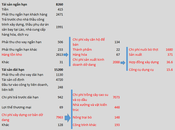 Khối tài sản khổng lồ hơn 23.500 tỷ đồng của HAGL Agrico được hình thành từ hơn 13.500 tỷ đồng nợ và 9.960 tỷ đồng vốn chủ sở hữu