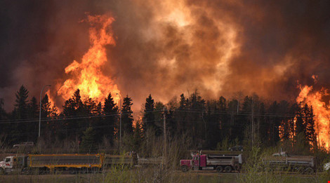
Đám cháy dữ dội lan ra hơn 2.600 ha. Nguồn: RT
