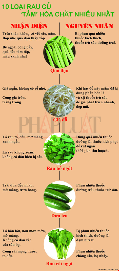 
Infographic: 10 loại rau củ tắm hóa chất nhiều nhất
