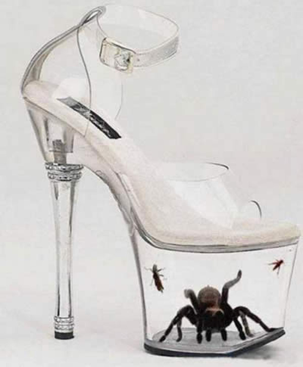 
Khi đôi giày thủy tinh của Lọ Lem trở thành lồng nuôi côn trùng.
