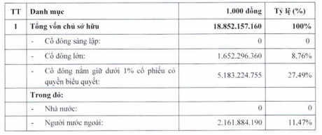 Cơ cấu vốn của Sacombank sau đợt phát hành cổ phiếu ra công chúng.