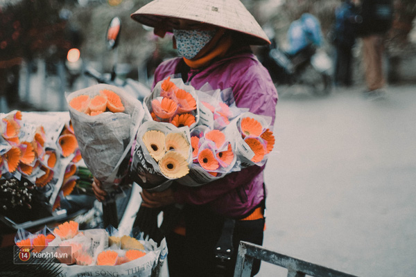 Nếu đi chợ hoa vào sáng sớm, sẽ không khó để bắt gặp hoa đồng tiền được bày bán. Hoa có giá khoảng 100-130k/bó.