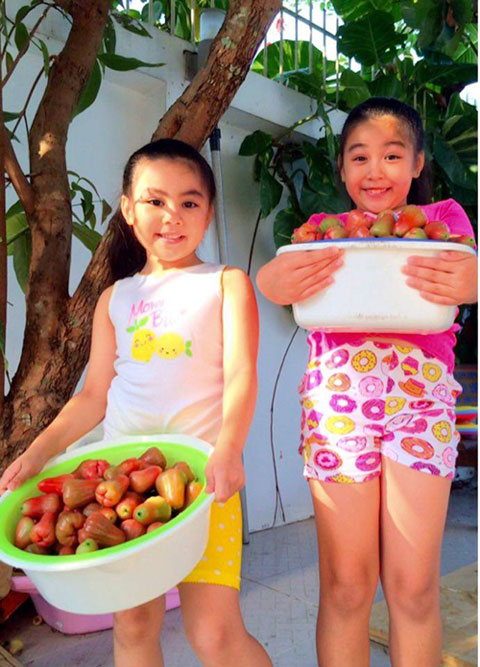 
2 công chúa nhỏ của MC Quyền Linh vui mừng thu hoạch trái trong vườn nhà
