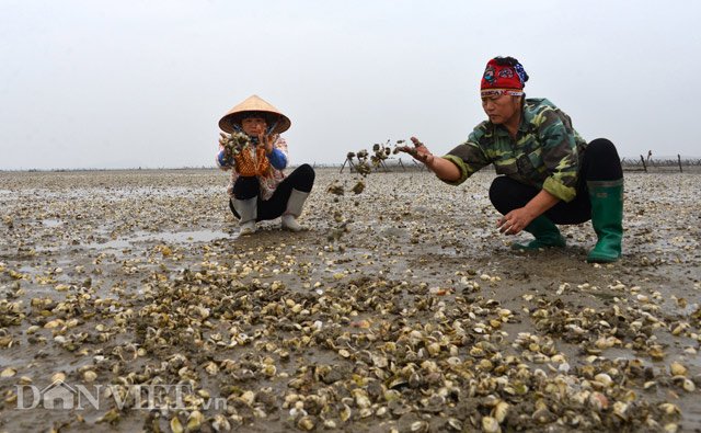 
Nghĩ về tài sản và công sức bỏ ra giờ tan biến hết khiến những người phụ nữ sụt sùi rơi lệ.
