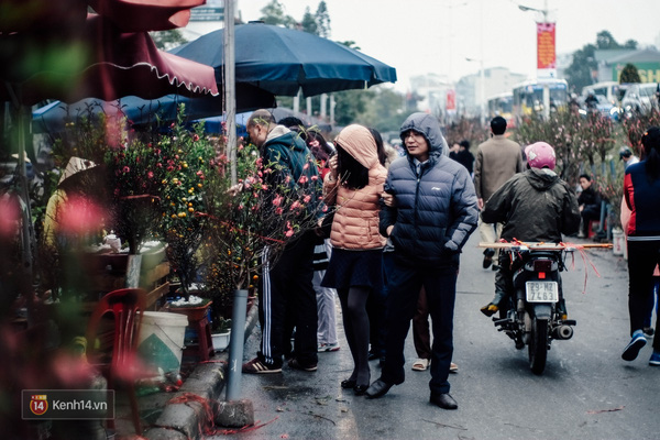 Khung cảnh nhộn nhịp ở chợ hoa ở đường ven đê sông Hồng.