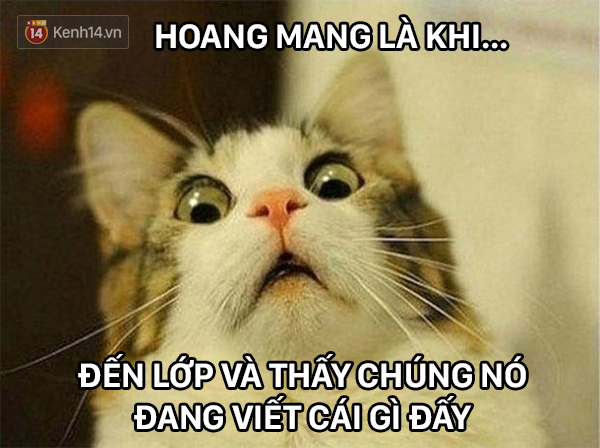 Hả hả, bài tập gì vậy???