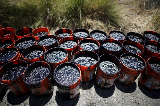 
Các tình nguyện viên thu thập những hộp đựng đầy dầu tại bờ biển Refugio vào ngày 20/5/2015.
