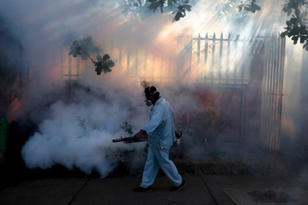 
Vào tháng 4/2015, Zika được cho là nguyên nhân gây ra bệnh teo não ở 4000 trẻ sơ sinh tại Brazil.
