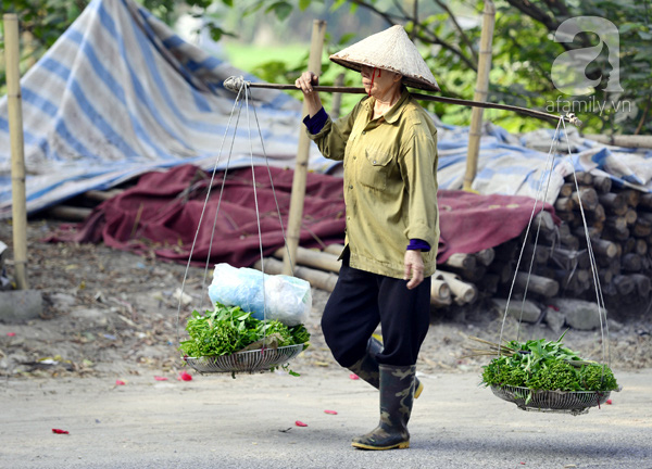 
Những mớ rau tươi rói trên đường phục vụ người dân. Tuy nhiên, không ít trong số đó là rau muống còn tồn dư hóa chất, hoặc được tưới/ rửa bằng nguồn nước ô nhiễm, không an toàn cho người sử dụng.
