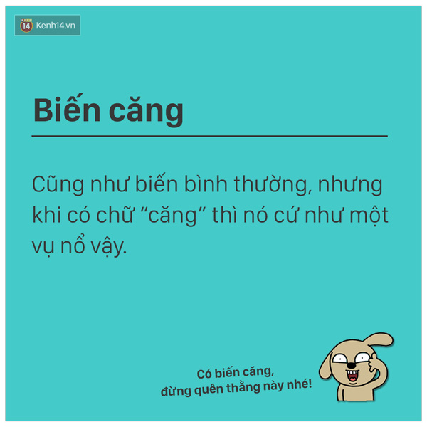 Những loại biến đảm bảo sẽ lên Bít.