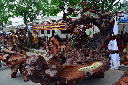 Chủ nhân của bộ bàn ghế này định giá 500 triệu đồng và đang được trưng bày tại Festival Sinh vật cảnh Thủ đô lần I.