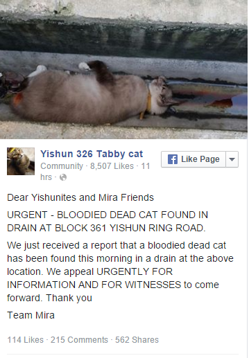 Tổ chức yêu động vật có tên Yishun 326 Tabby Cat đã đăng tải thông tin về sự việc.