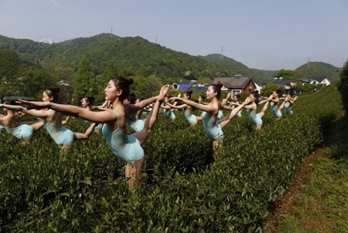 Tbò nhiều suy đoán, những cô gái trẻ này đều là nữ sinh của một trường nghệ thuật nào đó hoặc thành viên của một vũ đoàn.