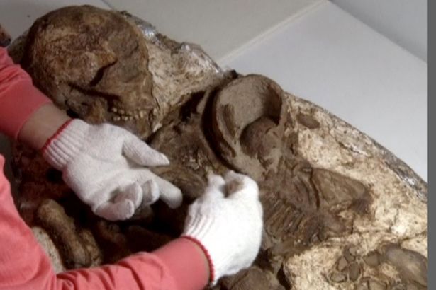 Phát hiện hóa thạch mẹ ôm con 4.800 năm ở Đài Loan - Ảnh 1.