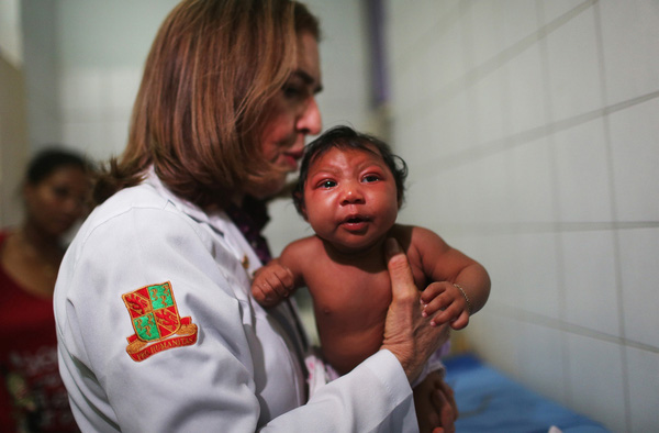 
Bác sĩ Angela Rocha của bệnh viên Oswaldo Cruz đang kiểm tra sức khỏe cho cậu bé Ludmilla Hadassa Dias de Vasconcelos (2 tháng tuổi) tại Recife, Brazil. Chỉ trong vòng 4 tháng trở lại đây, giới chức đã ghi nhận gần 4.000 trường hợp nhiễm virus Zika tại Brazil.
