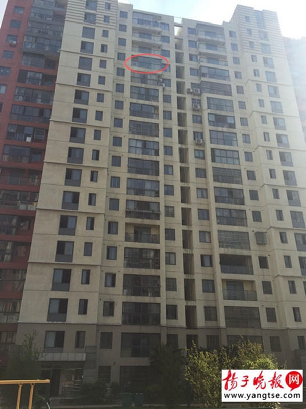 
Căn hộ mà gia đình Kỳ Kỳ mới mua nằm ở tầng 15 của khu nhà.
