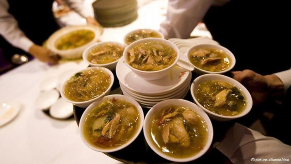 
Bên trong những bát súp này có chứa thủy ngân
