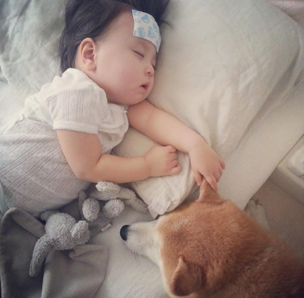 Khi cô bé mệt, chó cưng sẽ là người bạn bên cạnh canh chừng cho cô.