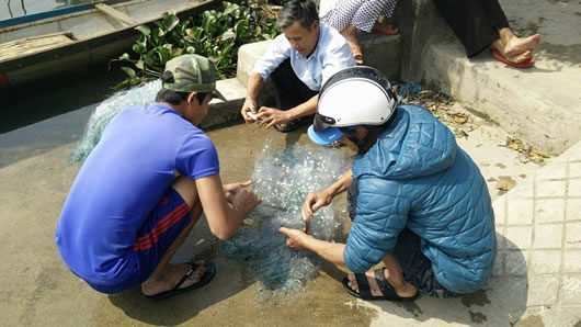 
Những thanh niên trong làng rảnh lại đi mò tôm, bắt ốc cho vợ đi chợ bán.
