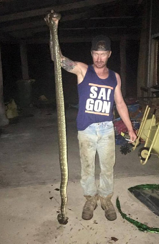 
Con rắn bị giết ngay sau đó. Ảnh: Craig Baker/Facebook
