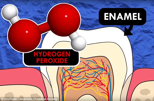 Lớp men cứng bao phủ răng chúng ta chủ yếu cấu tạo từ một khoáng chất có tên gọi là hydroxyapatite.