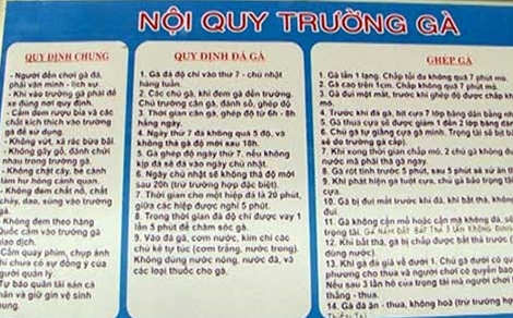 
Nội quy đá gà được chủ sới niêm yết công khai.
