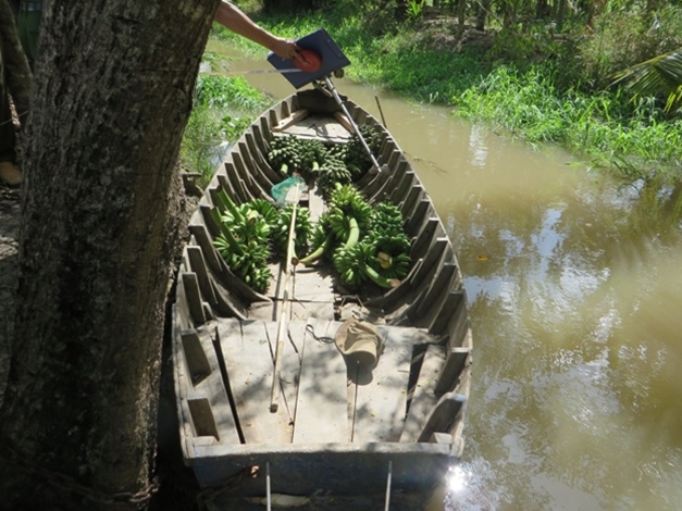 Chiếc thuyền thu mua chuối của ông Phong.