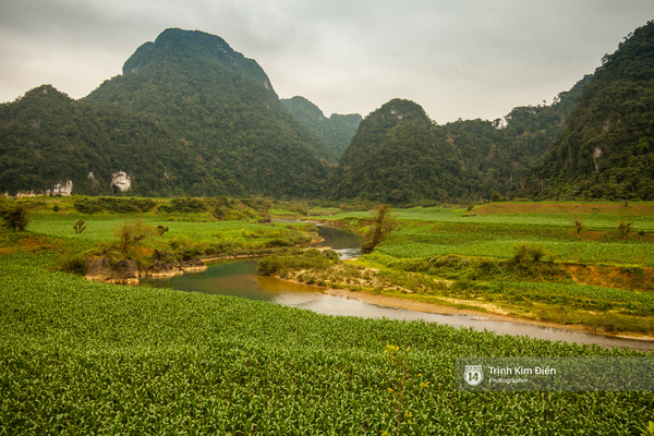 Xa xa về phía bên trái, chính là hang Chuột nhỏ xíu.