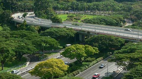 
Hình ảnh cây xanh tại Singapore. Anh: Vietnamnet.
