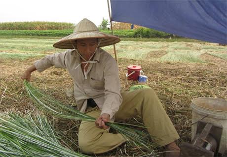 
Sinh ra và lớn lên ở Mỹ nhưng luôn đau đáu về quê hương, chàng Việt kiều Mỹ từng đi xuyên Việt 80 ngày với chiếc ví rỗng để trải nghiệm cuộc sống và tìm hiểu về con người Việt Nam.
