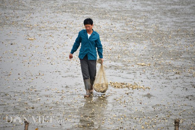 
Nỗi vất vả khổ tâm của họ chỉ có bùn đất mới hiểu được.
