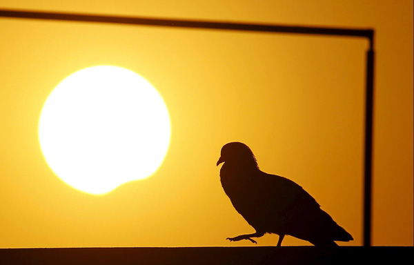 
Kathmandu, Nepal. Ảnh: Reuters.
