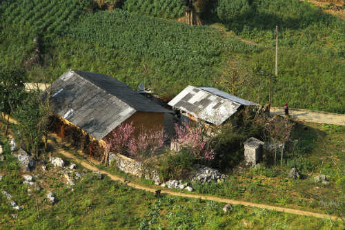 Khung cảnh bình yên