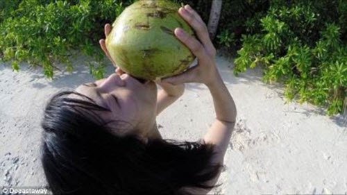 
Trong thời gian sống trên đảo, Reikko đã học được kỹ năng hái dừa trên cây và đập thủng vỏ trái dừa để hút nước.

