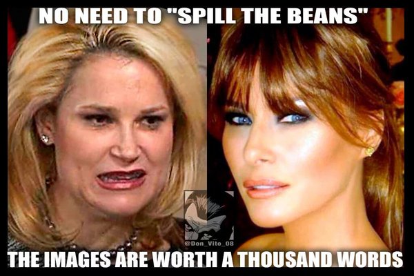 Bà Heidi Cruz (trái) và Melania Trump (phải). Ảnh: Twitter