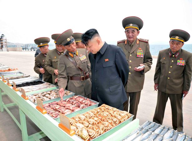 
Nhiều nguồn tin trước đó cho biết, nhà lãnh đạo Kim Jong Un, 33 tuổi có sở thích ăn pho mát châu Âu và các loại rượu vang hảo hạng trong khi 2/3 dân chúng Triều Tiên đang đấu tranh chống lại cái đói.
